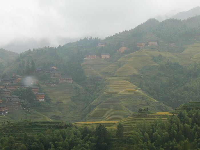 p1170301.jpg