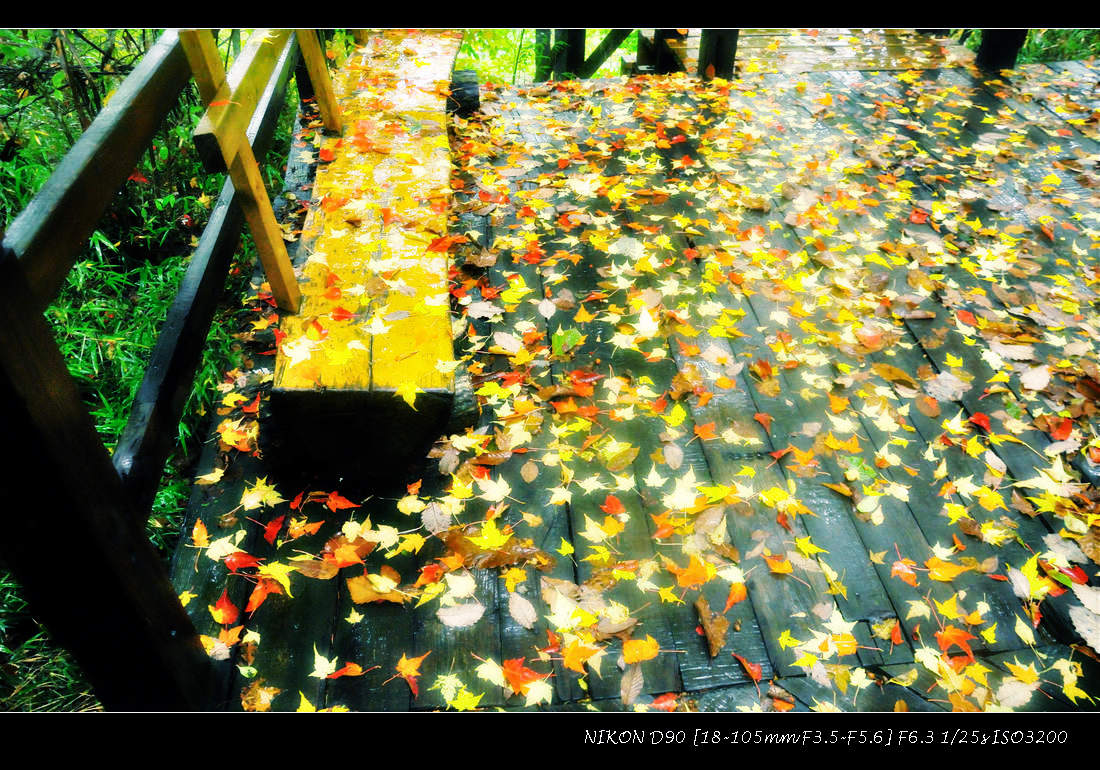 dsc_0315-2.jpg