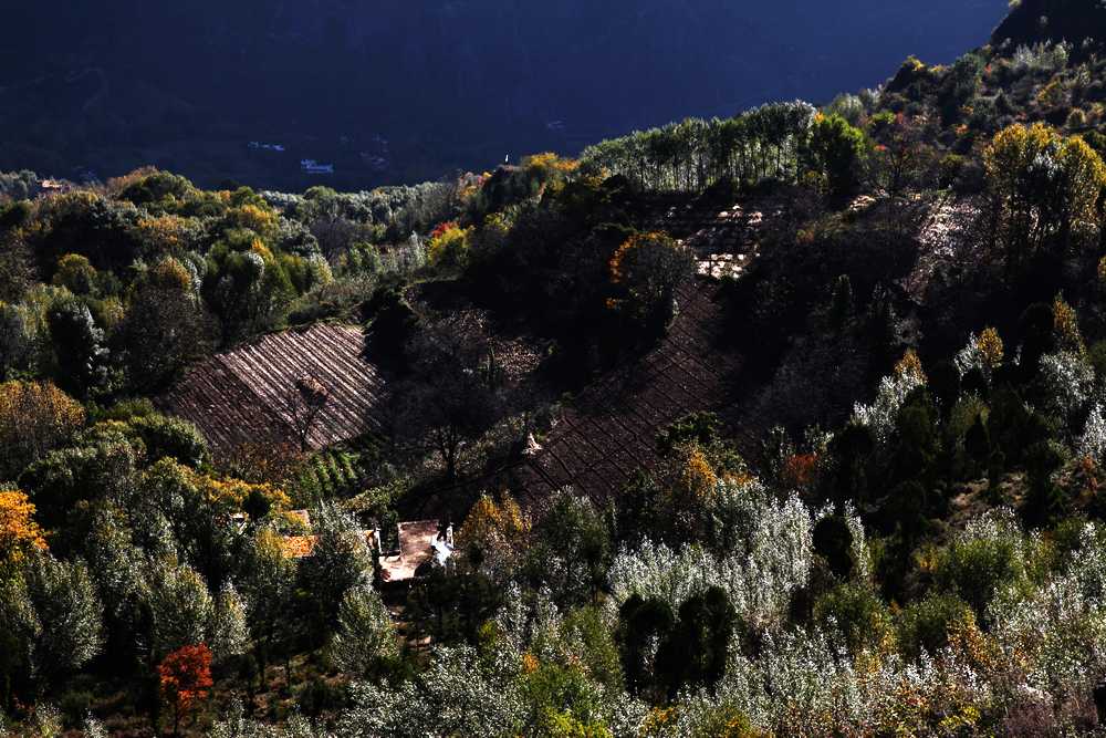 w_4343.jpg