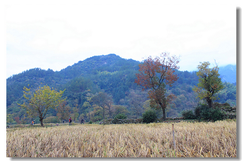 img_2780.jpg