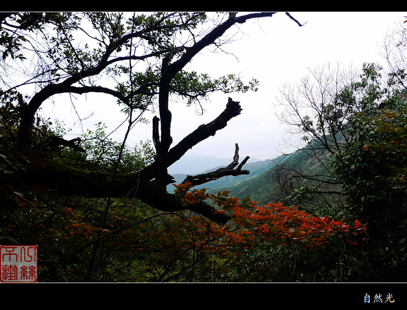 l1250227.jpg