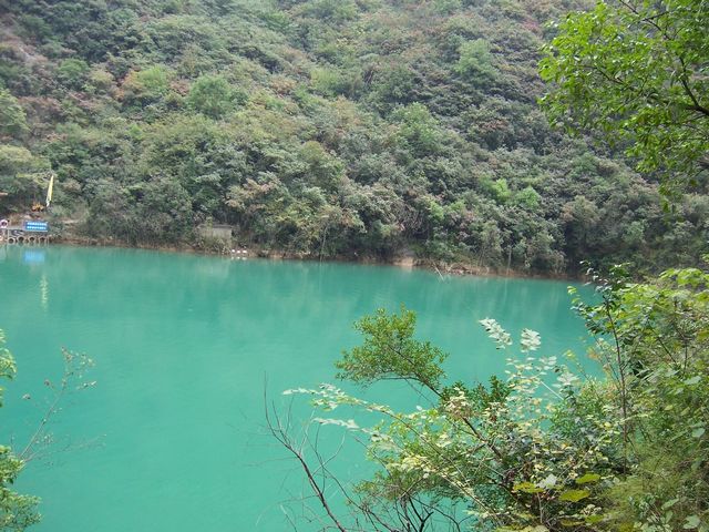 100_8936.jpg