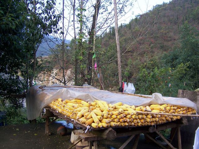 100_9013.jpg