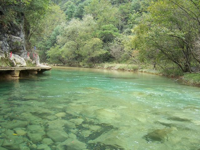 100_8974.jpg