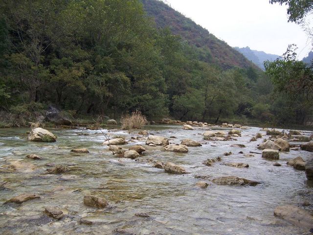 100_8972.jpg