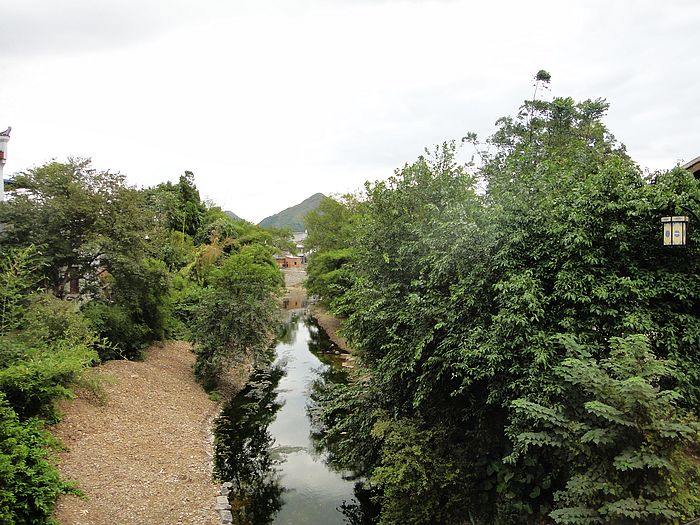 dsc05966.jpg