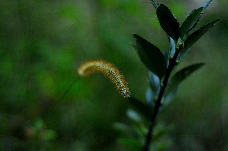 dsc_0249_.jpg