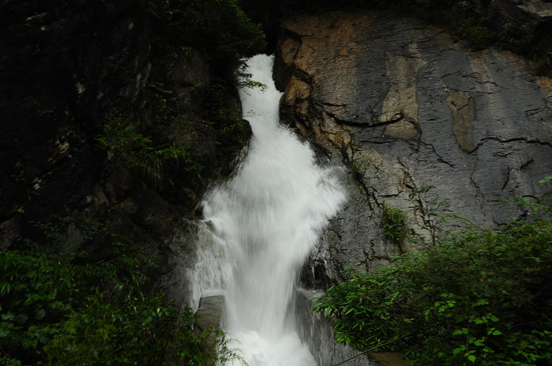 dsc_0542_.jpg