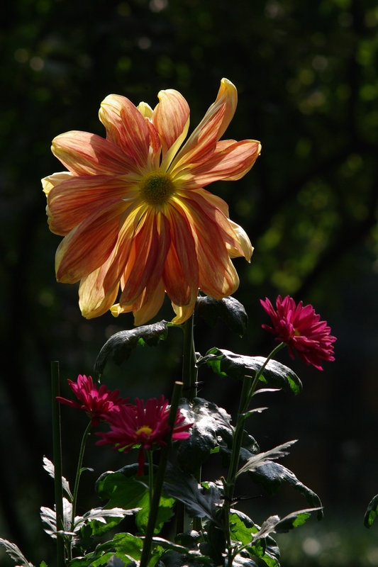 imgp5422.jpg