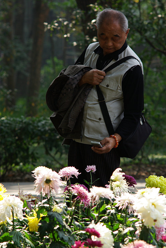 imgp5464.jpg