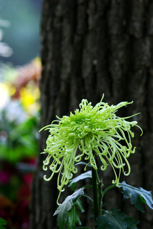 imgp5476.jpg