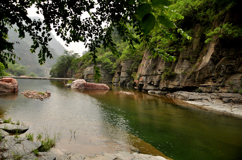 dsc_0068_.jpg