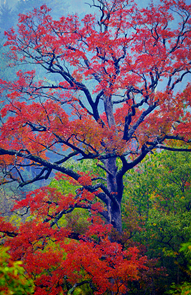 Ҷ20111029 050_.jpg