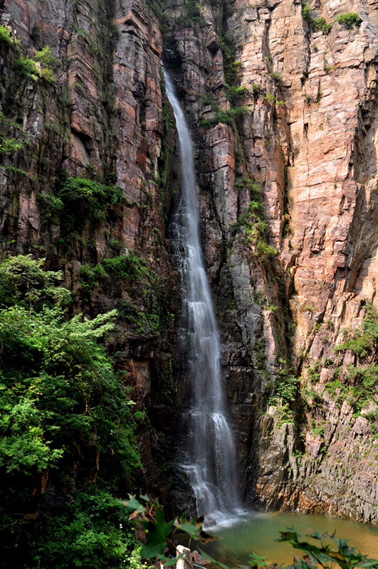 dsc_0557__.jpg