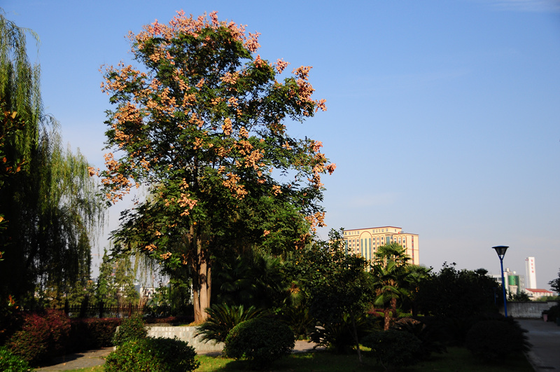 dsc_0016_.jpg