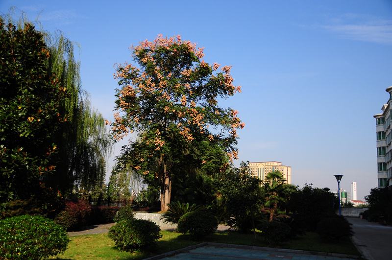 dsc_0014_.jpg