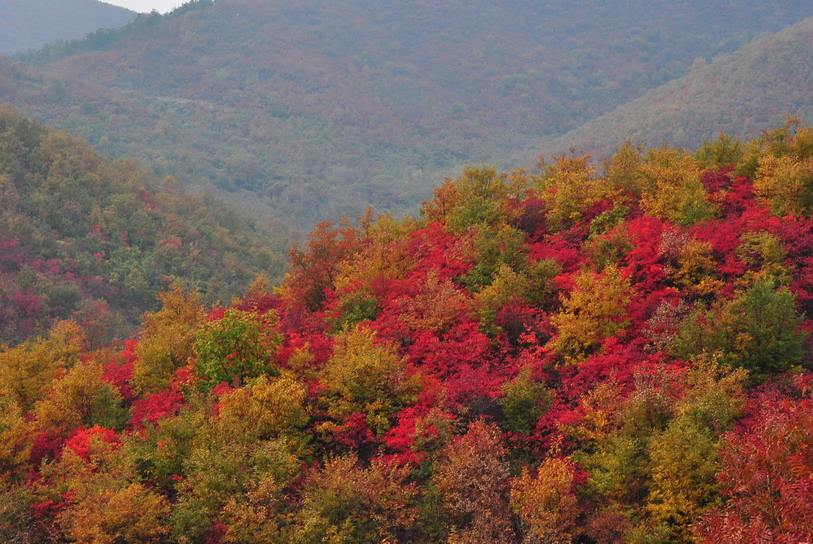 dsc_0310.jpg