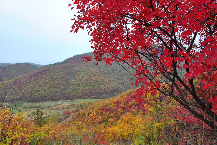 dsc_0355.jpg