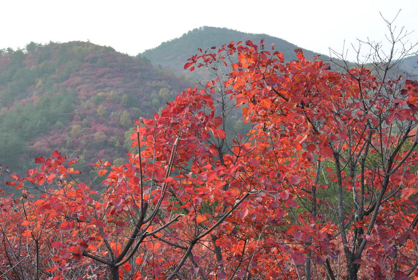 dsc_0257.jpg