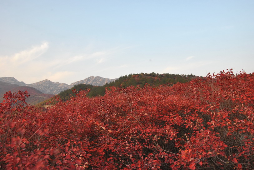 dsc_0251.jpg