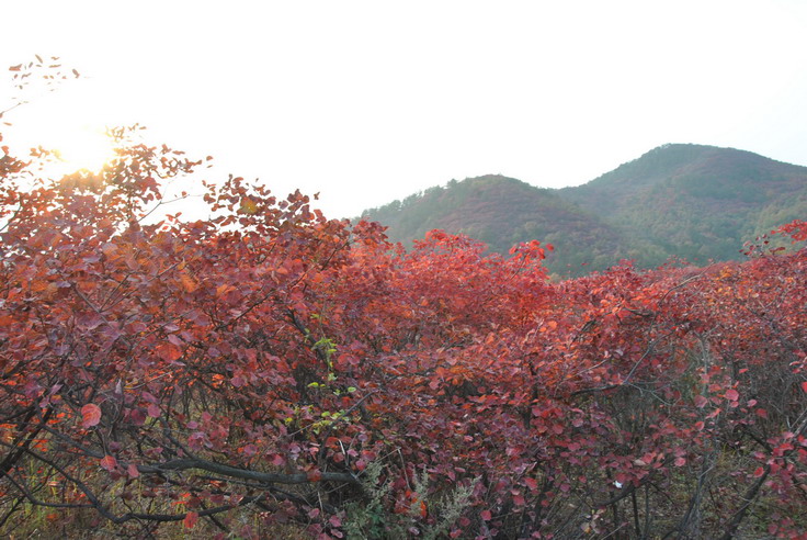 dsc_0274_С.jpg