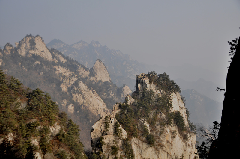 dsc_0068_1.jpg