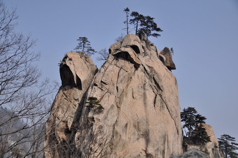 dsc_0191_.jpg