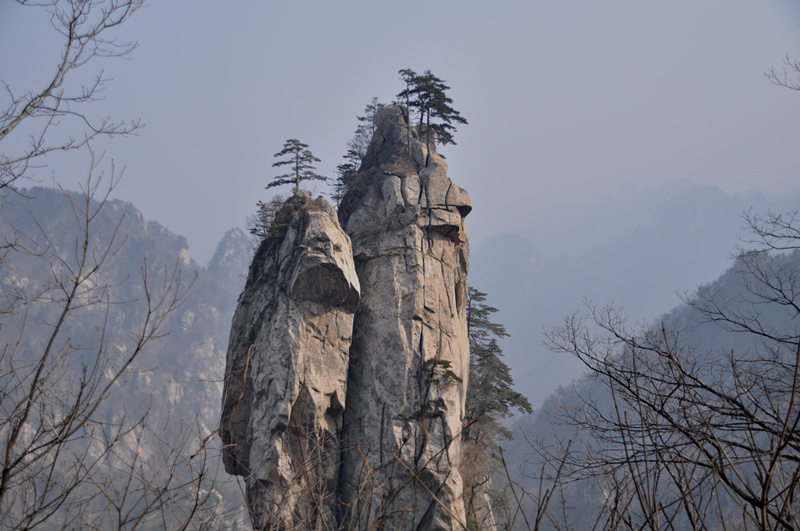 dsc_0186_.jpg