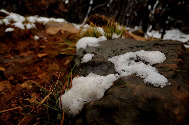 dsc_0088_.jpg
