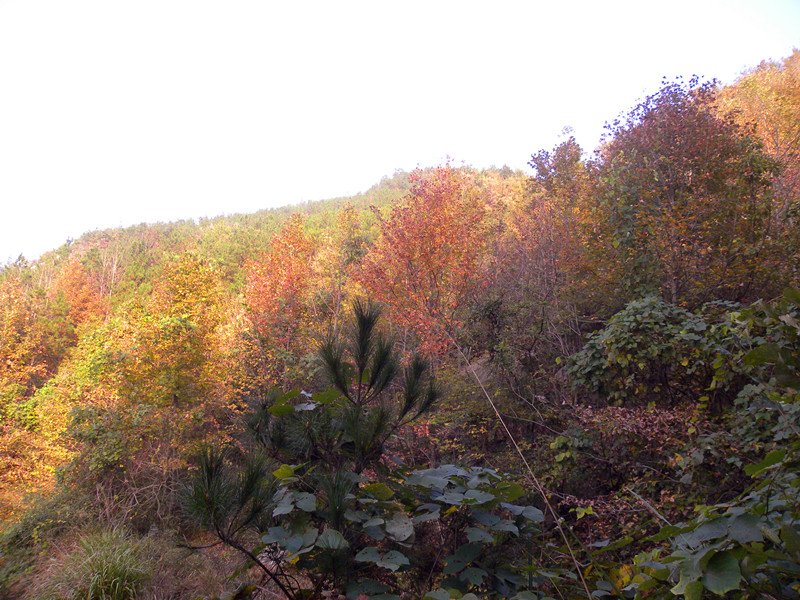 Ƭ 093_.jpg