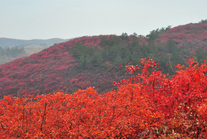 20111114985399873.jpg
