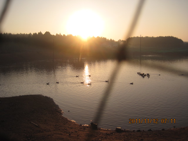 img_5235.jpg