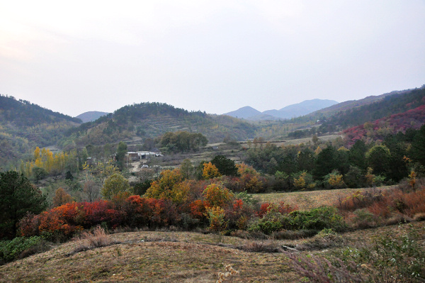 dsc_0058.jpg