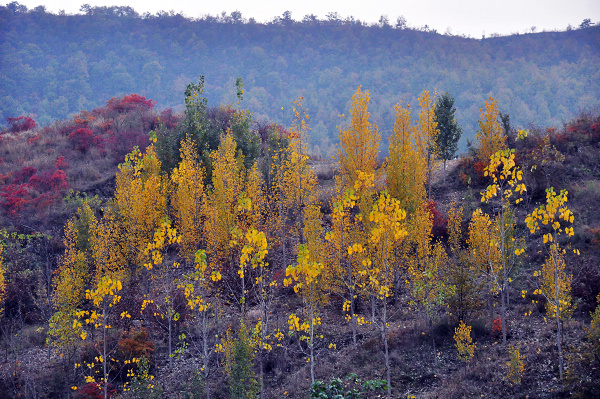 dsc_0053.jpg