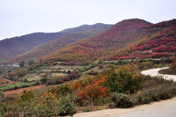 dsc_0073.jpg