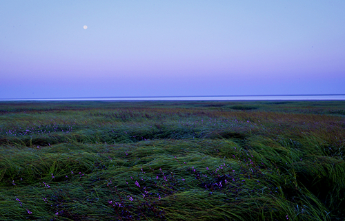 ۶ɽ20111111 006_.jpg