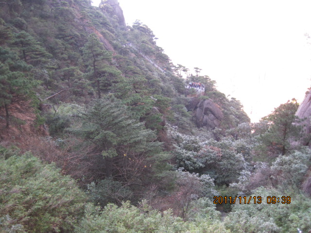 img_5514.jpg
