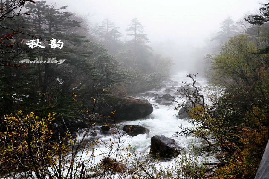 dsc_4490.jpg
