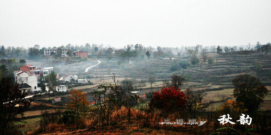 dsc_4844.jpg