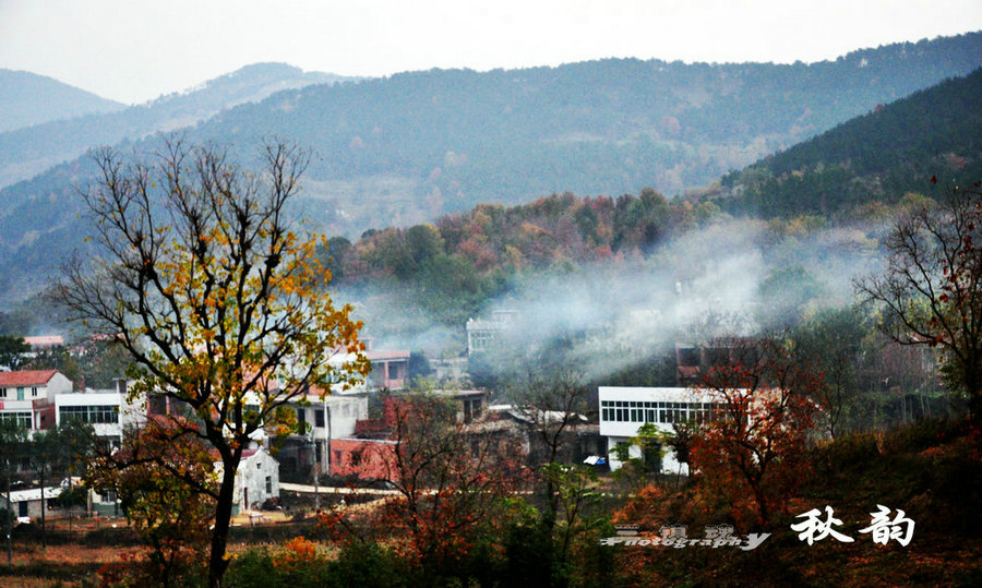 dsc_4878.jpg
