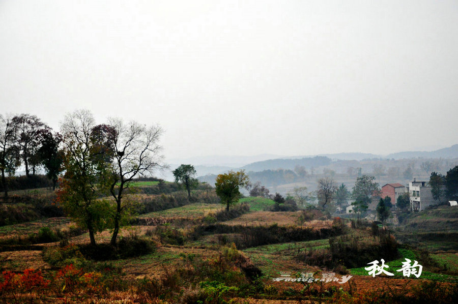 dsc_4879.jpg