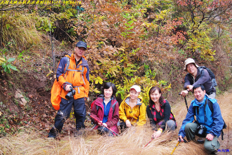 201111811424866351-cherry-8-0.jpg