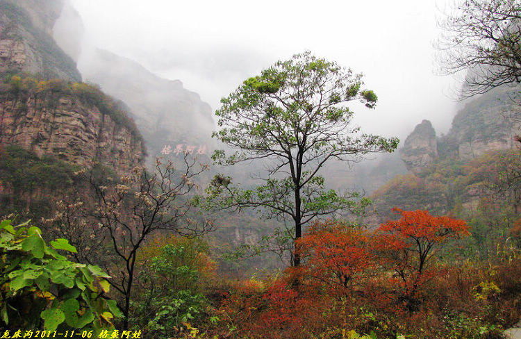 2011ʯҴϿ 1766-12.jpg