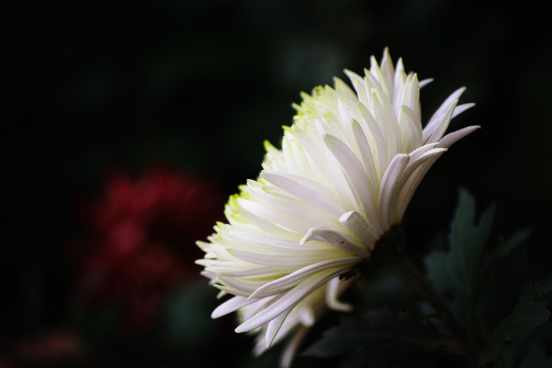imgp9963.jpg
