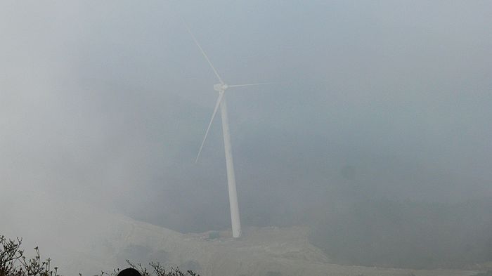 p1170614.jpg