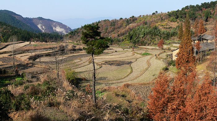 p1170648.jpg