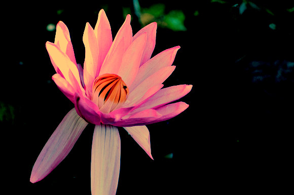 dsc_05871.jpg