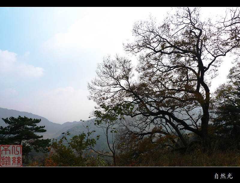 l1250776.jpg