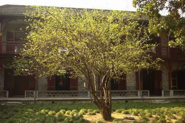 p1050076.jpg
