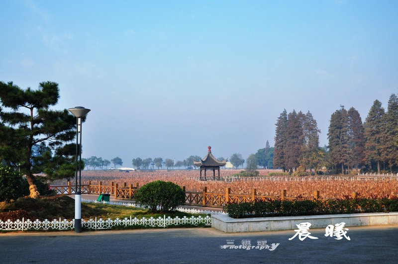 dsc_5217.jpg